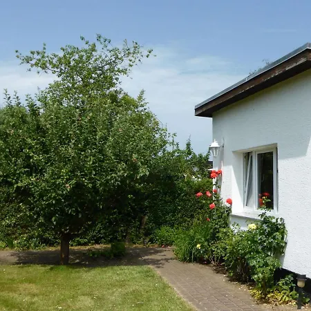 Alex Holiday home *