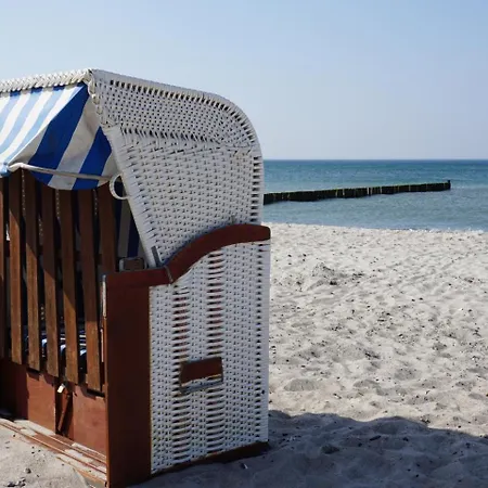 Alex * Börgerende-Rethwisch